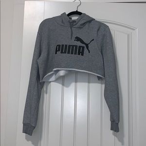 Puma Cropped Hoddie